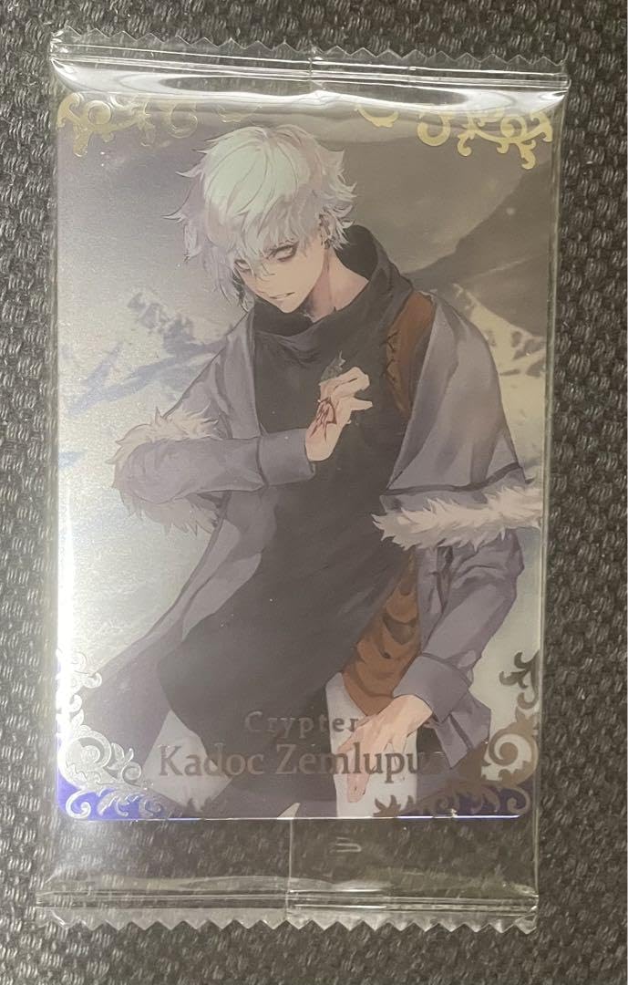 Amazon.co.jp: FGO カドック ゼムルプス ウエハース 13 : 食品・飲料・お酒